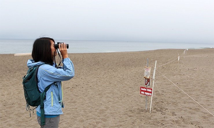 Stella Yuan, UC San Diego 3
