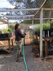 Stephanie Rosas, UC Santa Cruz 2 Stephanie Rosas, UC Santa Cruz 2