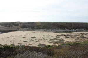From buzz pollination to seal bones: the 2017-18 Mathias Grant awards 2 From buzz pollination to seal bones: the 2017-18 Mathias Grant awards 2