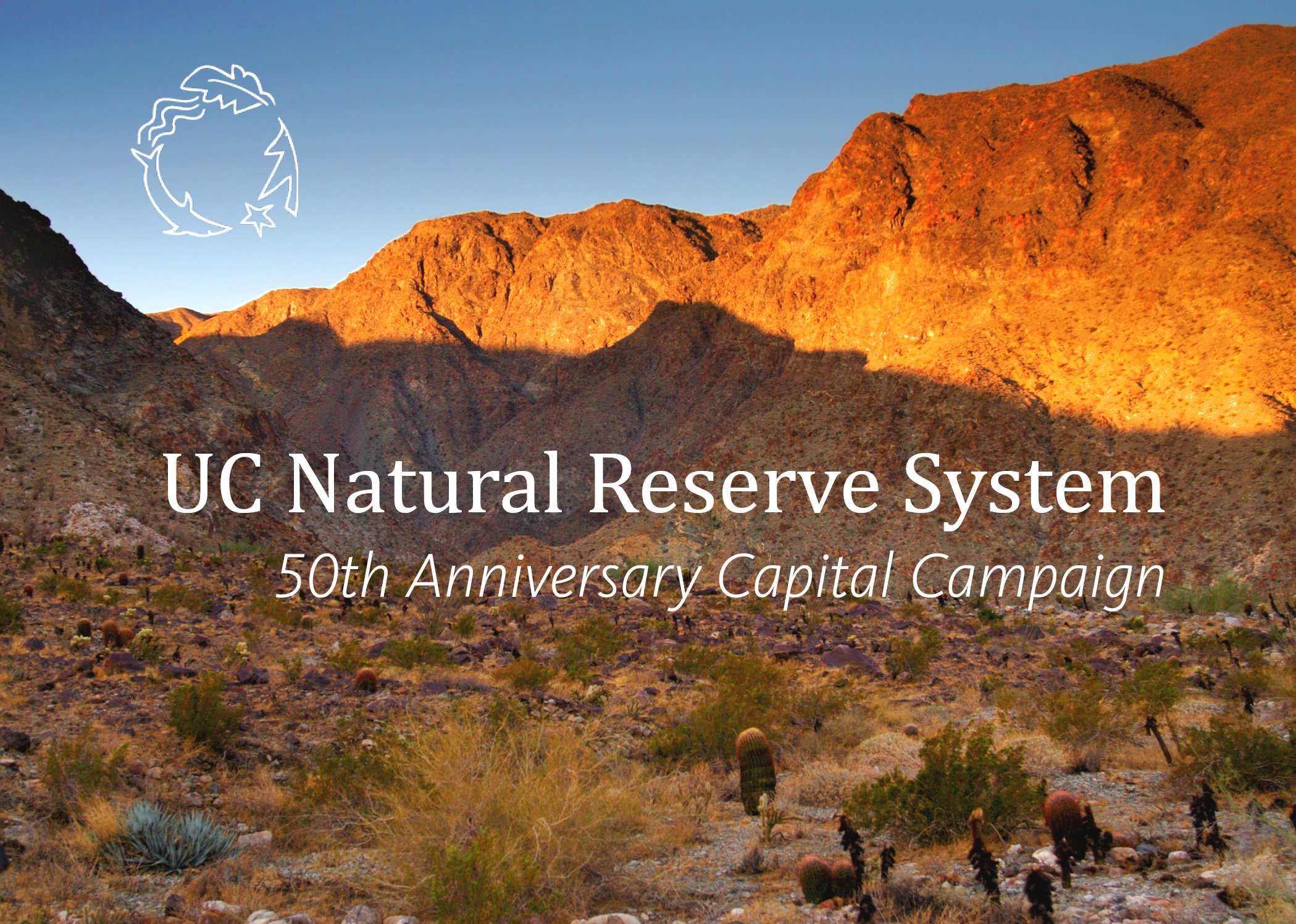 50th Anniversary Capital Campaign