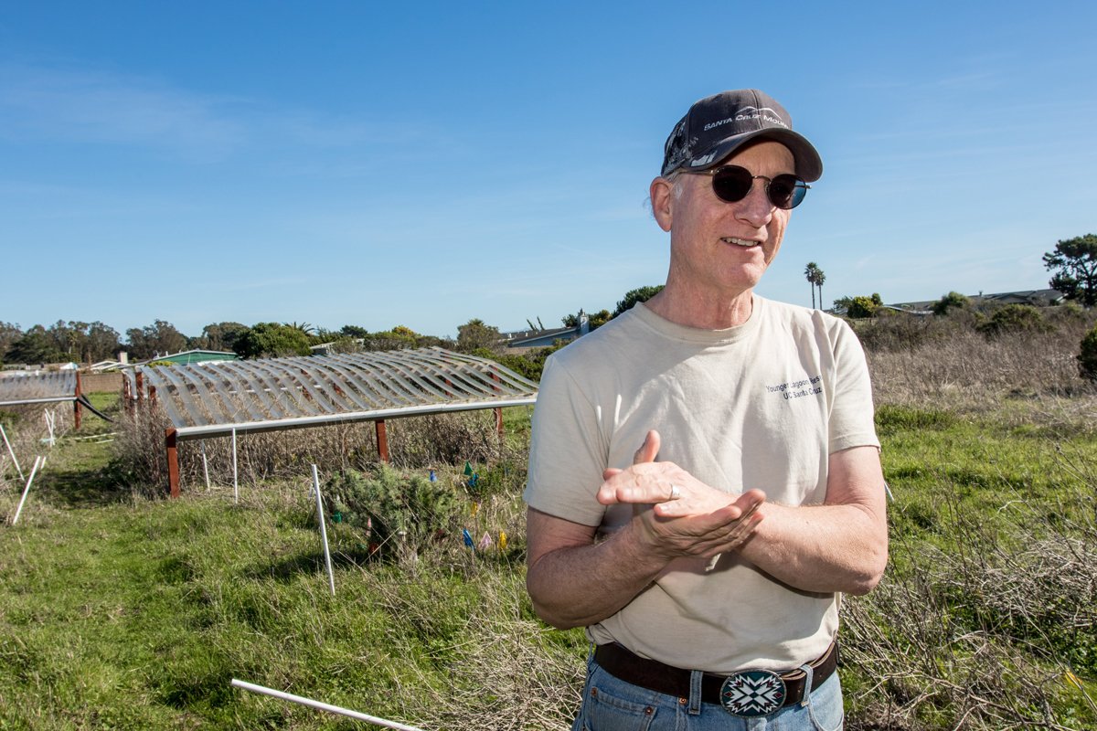 Professor Michael Loik stands before his drought shelters on the coastal prairie at Younger Lagoon Reserve