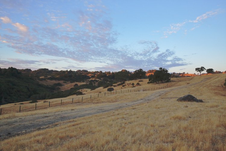 Limited underground water storage make plants less susceptible to drought 1