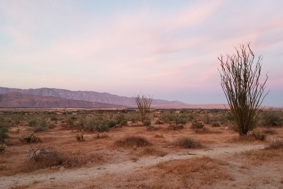 Genomics project to inform California species conservation 3