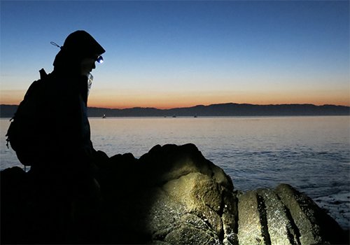 Field research, UC mentors inspire career in marine biology 4