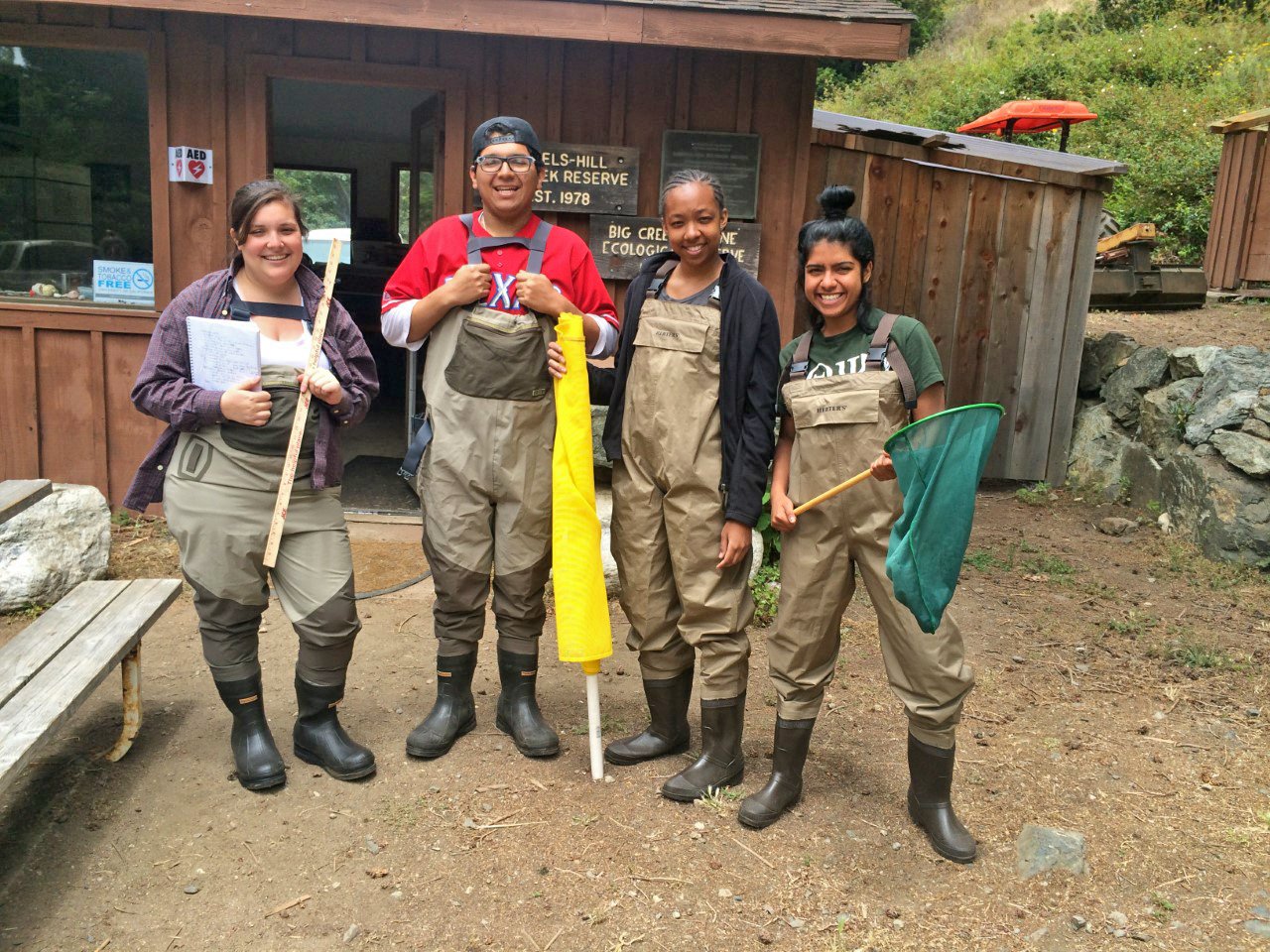 STEM diversity