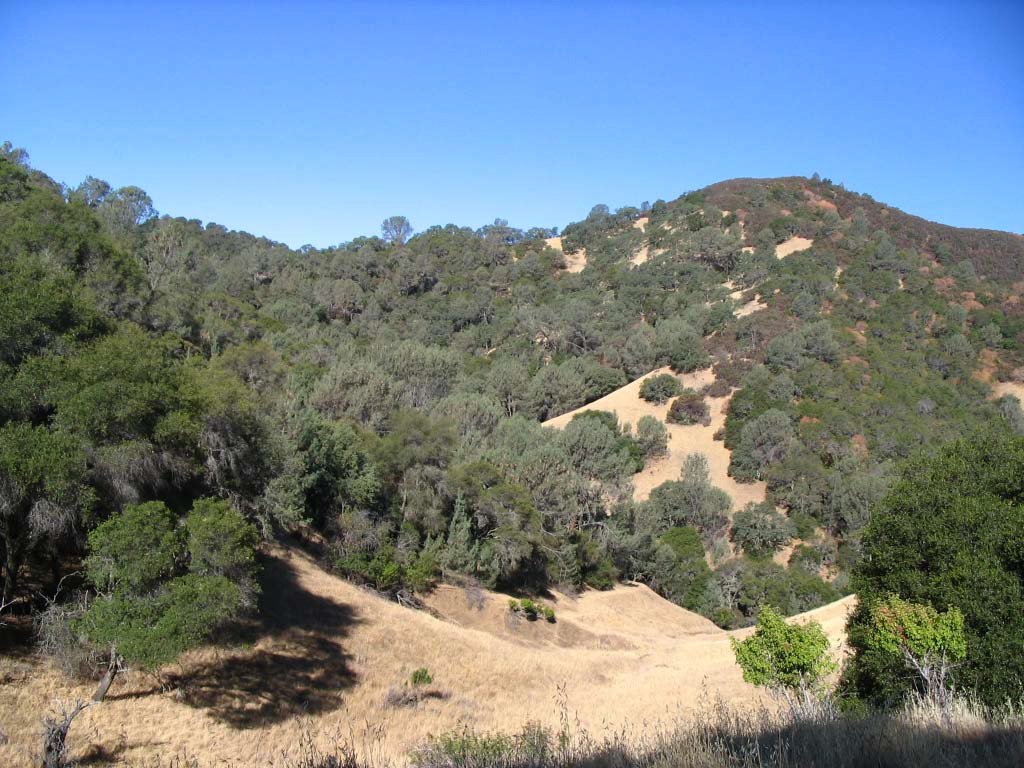 Quail Ridge Prop. 84