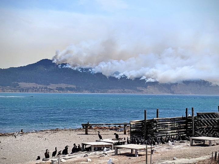 2020 Wildfires