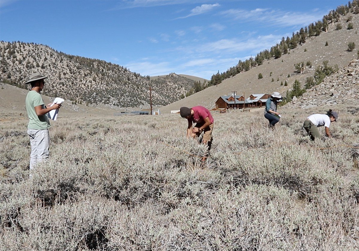 Nonstop nature: the UC Nature field course 1