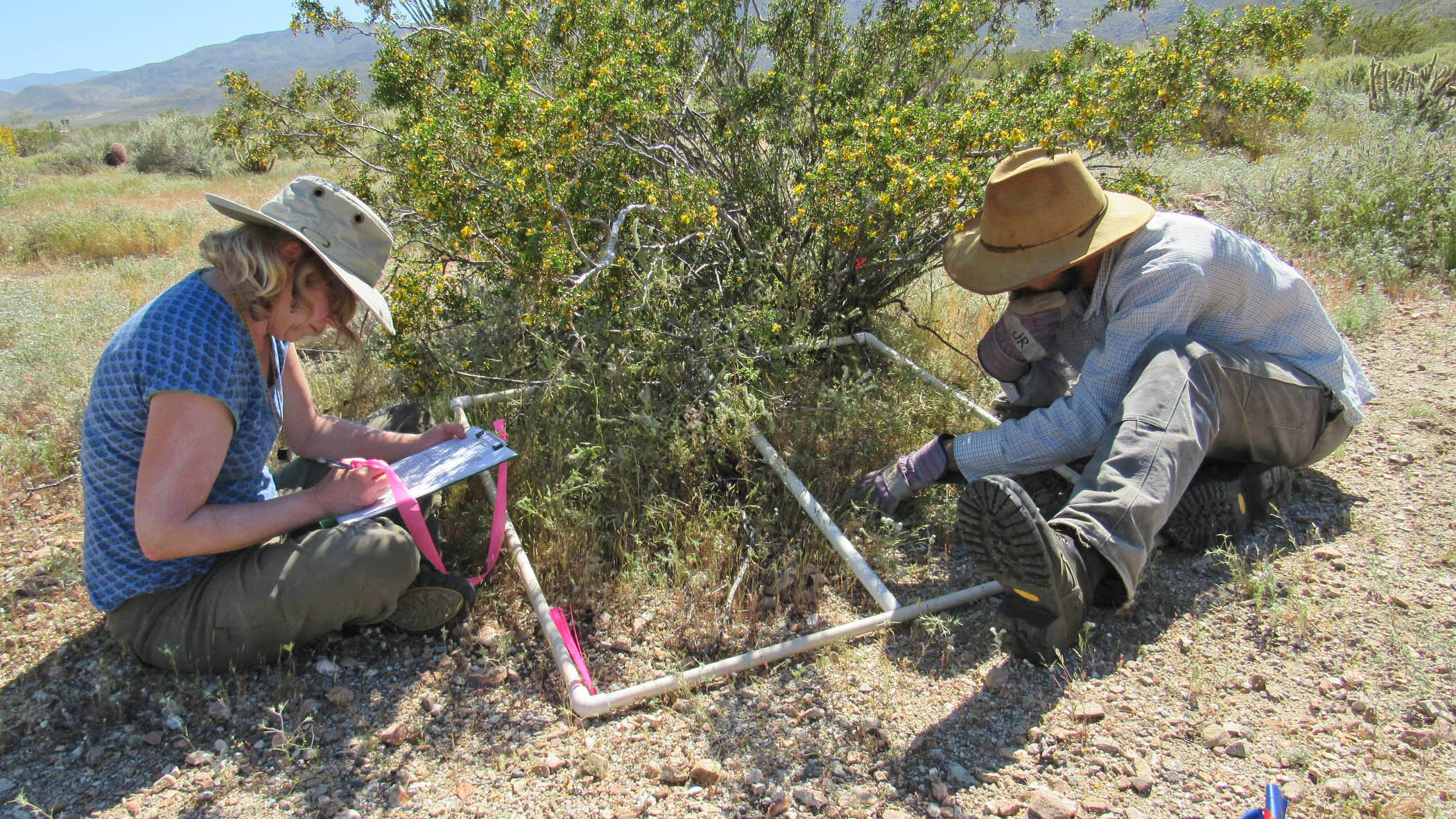 UC Irvine natural reserves