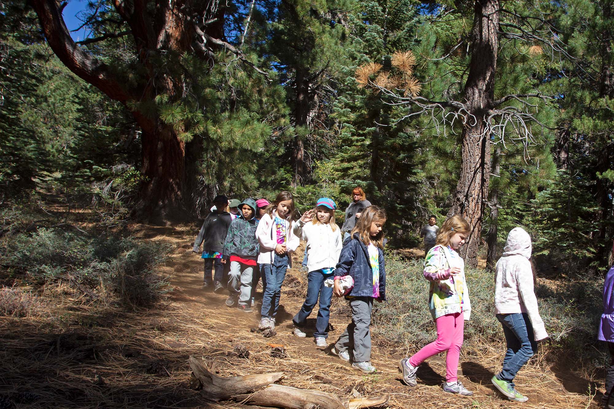 Outdoor Science Education Program