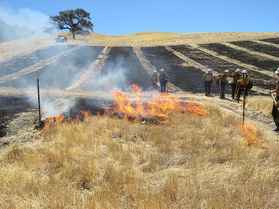 fire and the foothills