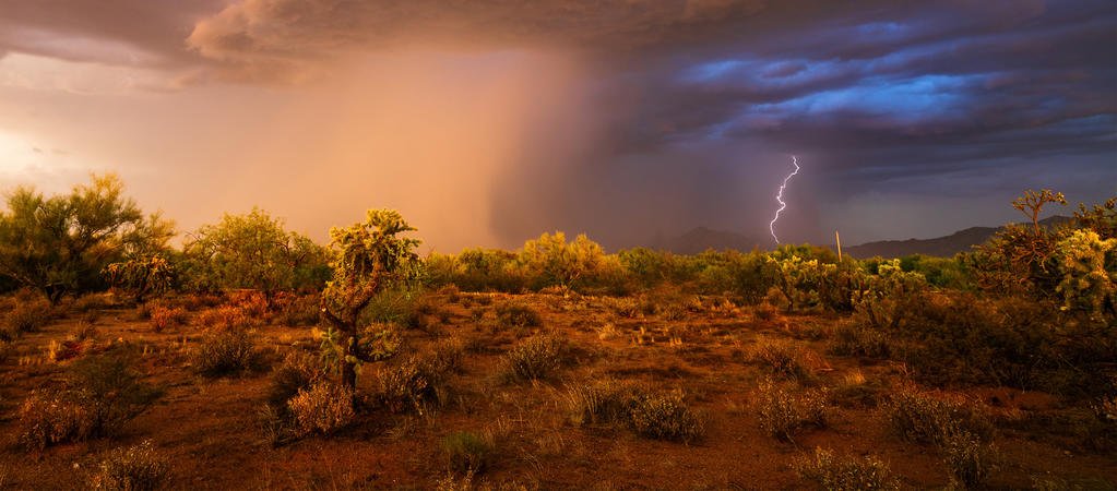 desert microbes