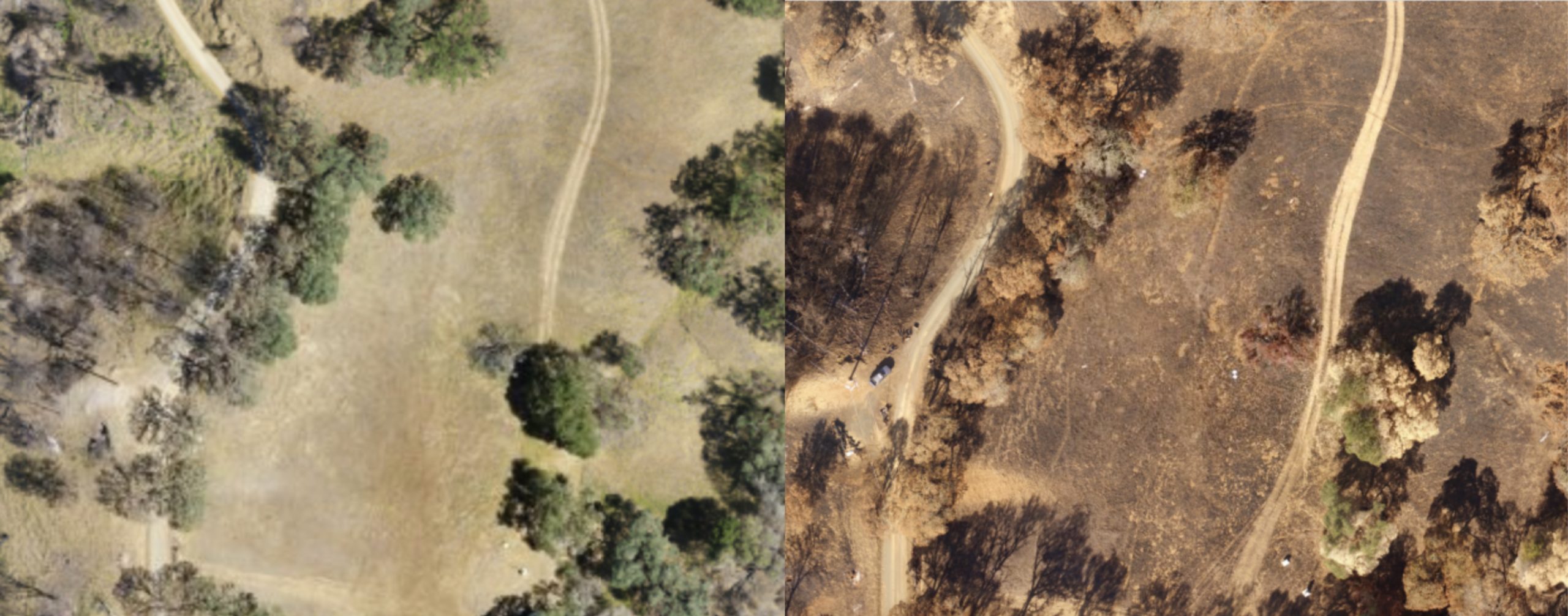 ecosystem resilience to wildfire