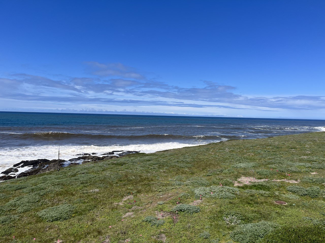coastal network