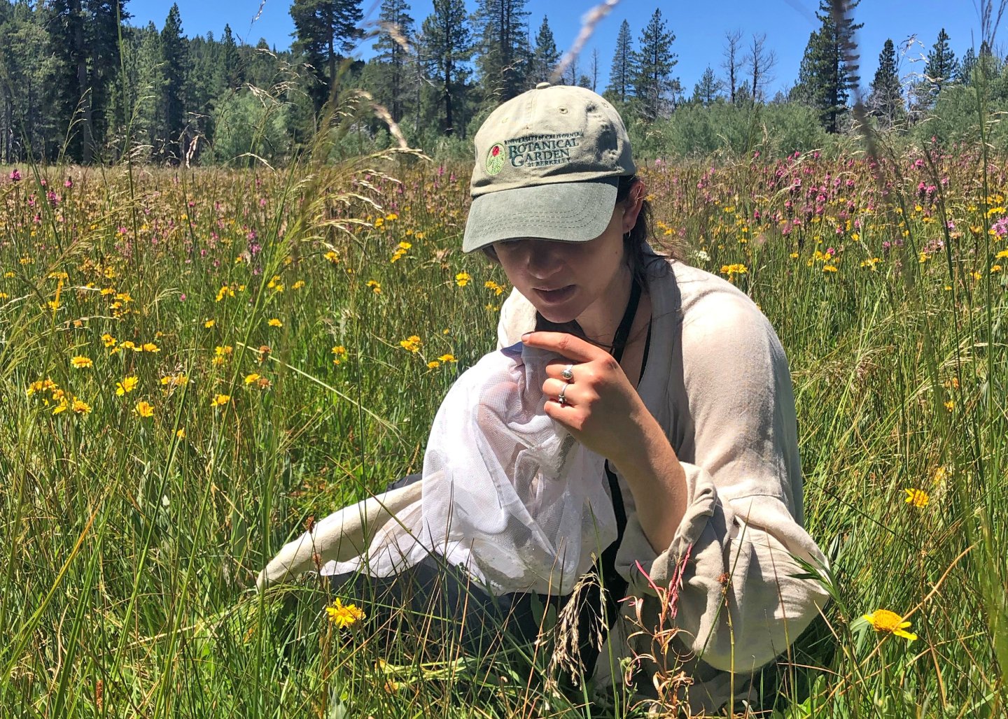 2023 Field Science Fellows