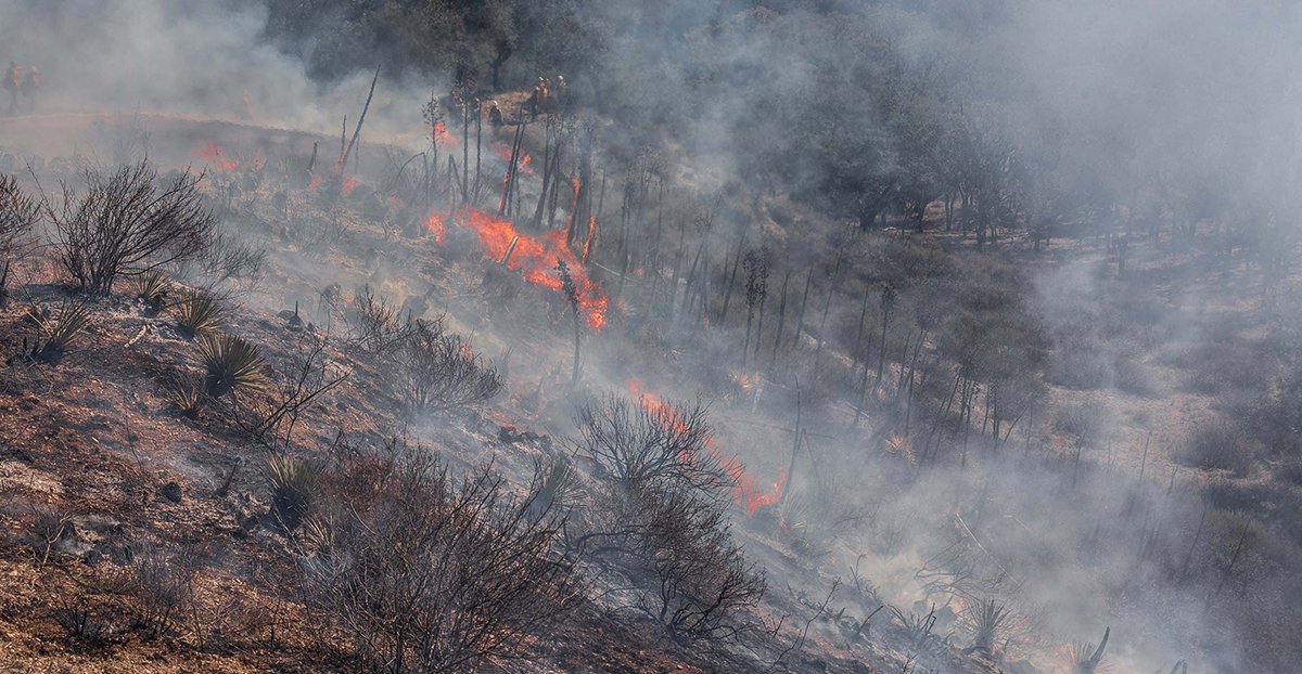 taming fire