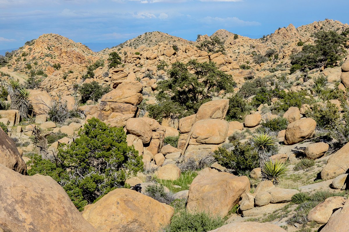 Native nations and UC scientists join together in climate fight