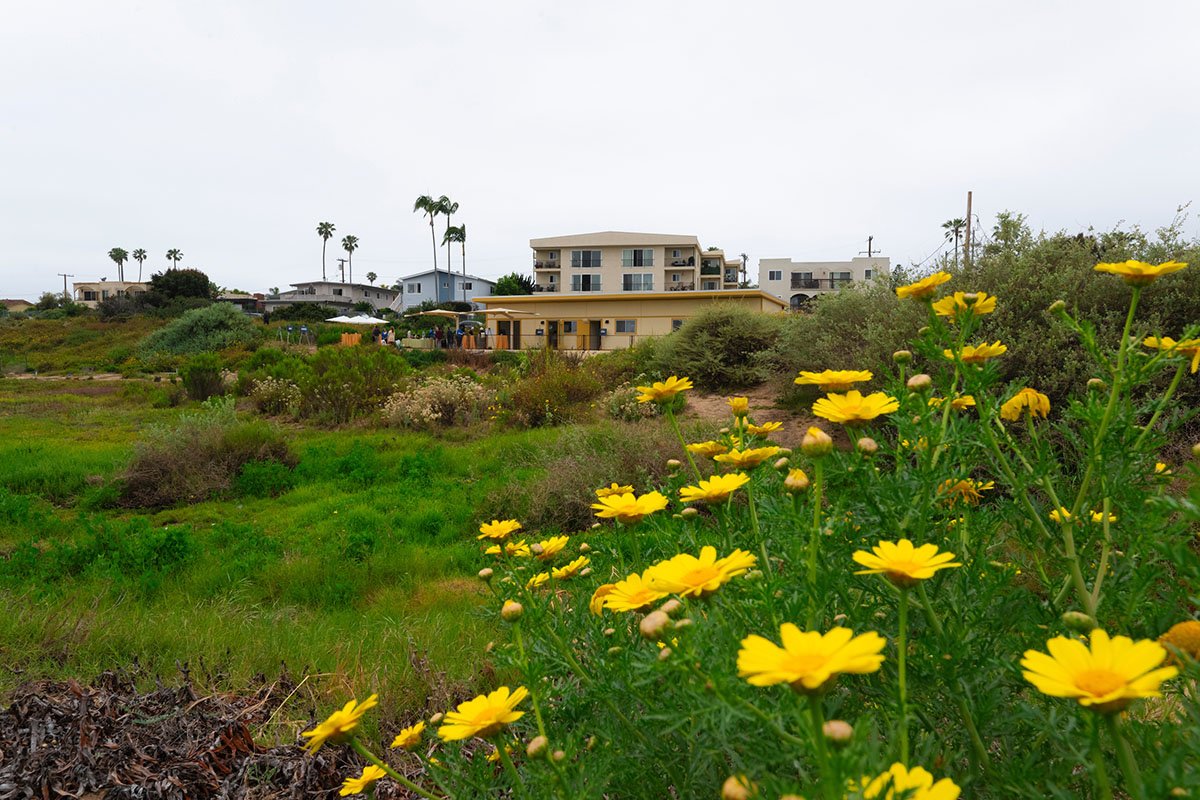 Kendall-Frost Marsh Reserve Field Station and Community Learning Center
