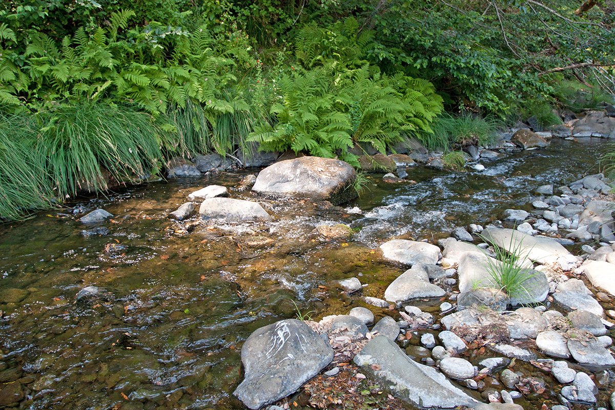 Planning for climate resilience in California’s freshwater ecosystems