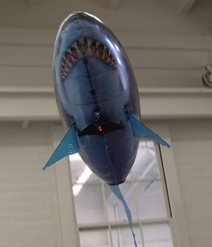Engineering Aid for Reserves 3 Shark