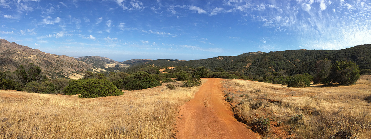 Santa Cruz Island Reserve
