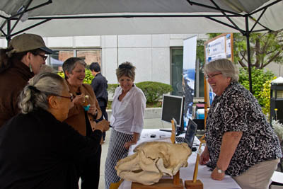UC Santa Barbara UC Nature associate director Sue Swarbrick (right) laughs about bones with her colleague Gay Larsen (white blouse) and UC President Napolitano.