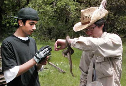 Exploring California Biodiversity 1 inspires urban children to appreciate the rich diversity of life