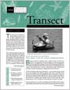 Vol. 17, No.2 (Autumn/Winter 1999)&nbsp;
