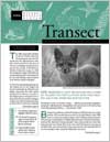 Vol. 20, No.2 (Summer 2002)