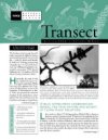 Vol. 22, No.1 (Spring 2004)