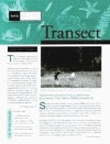 Vol. 22, No.2 (Summer 2004)