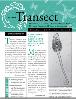 Vol. 25, No.1 ( Spring/Summer 2007 )&nbsp;