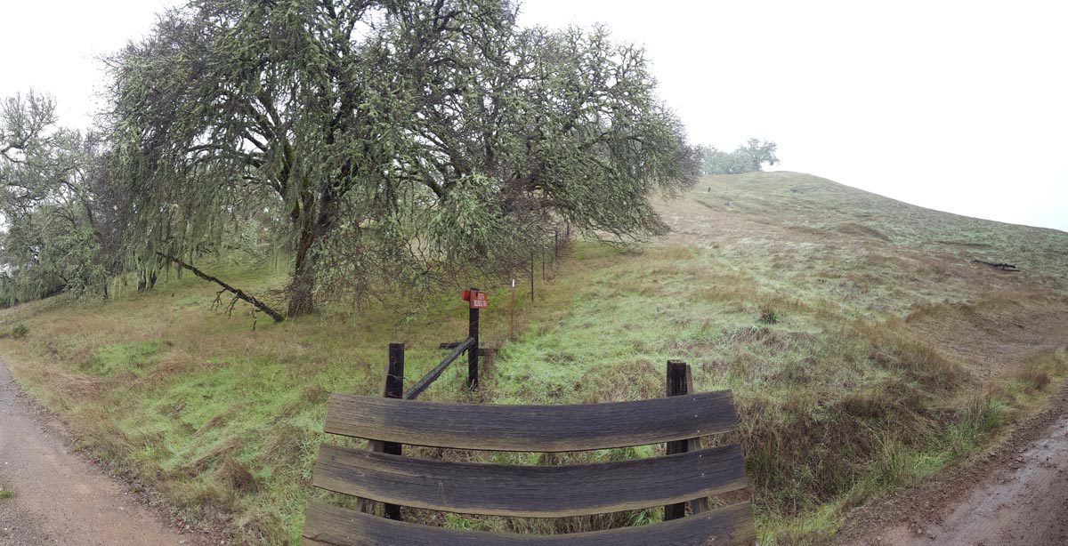 Testing rangeland change with the tools of history 4 rangeland change