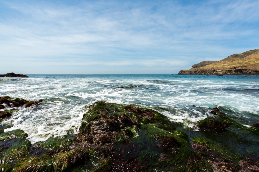 acidification refuges